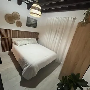 Jerez Centro San Miguel Apartamento Jerez de la Frontera